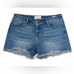 Dear John Julian Distressed Denim Shorts Women’s Size 30 Frayed Hem Medium Wash